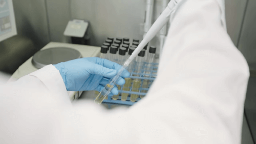 Pessoa manipulando tubos de ensaio e amostras em laboratório