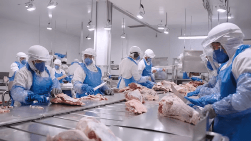 Colaboradores, vestidos com EPIs, manipulando carnes