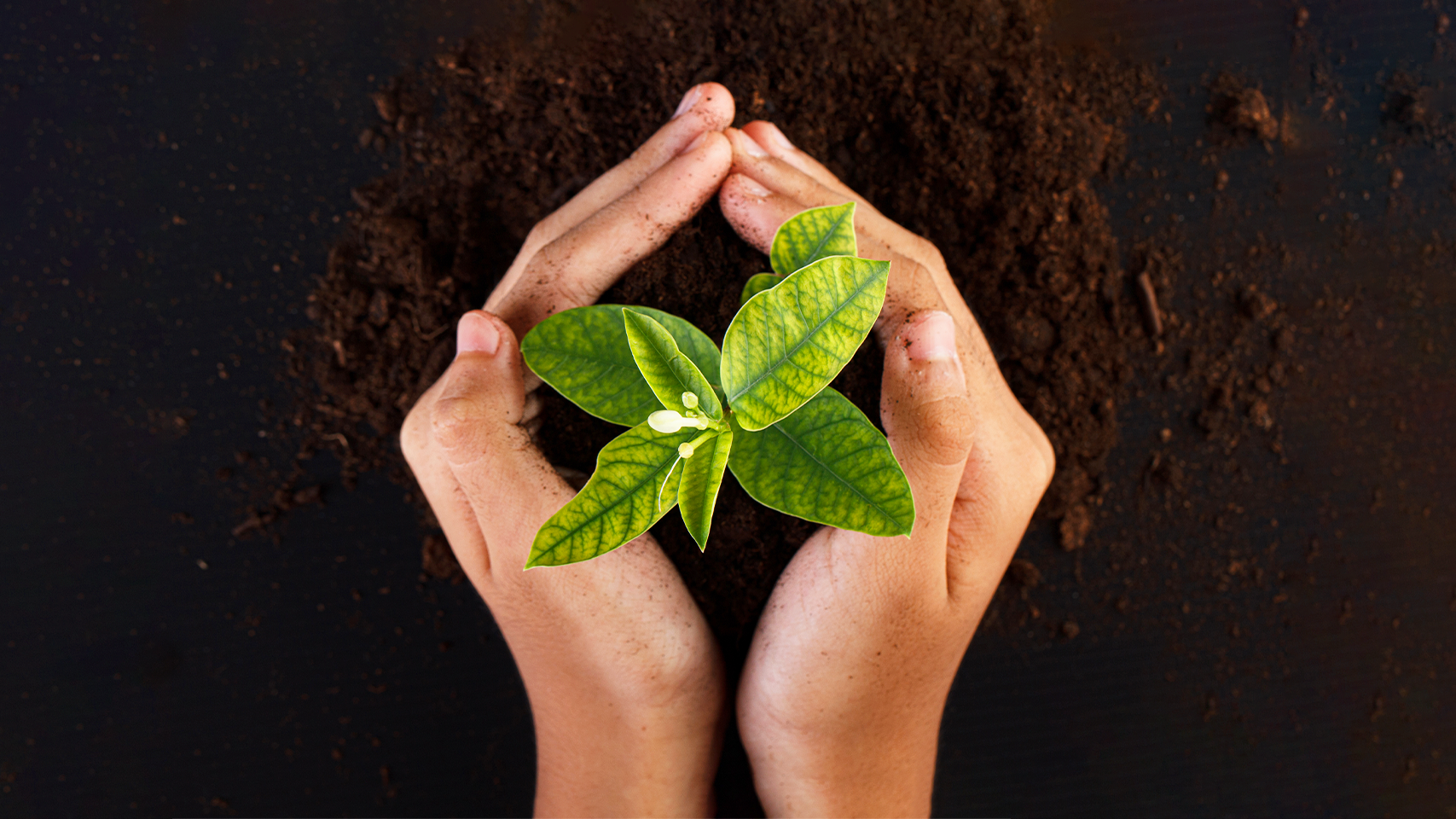 Gestão Ambiental